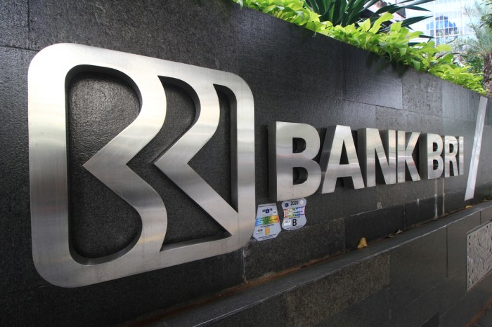 Pengalaman investor kecil mendapatkan dividen BRI