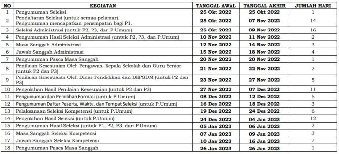 Pengumuman kelulusan PPPK 2024 BKN tahap 2 dan jadwalnya