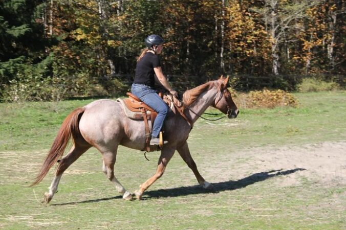 Solo women horseback vacations riding travel who else travelers inspire anything add do have