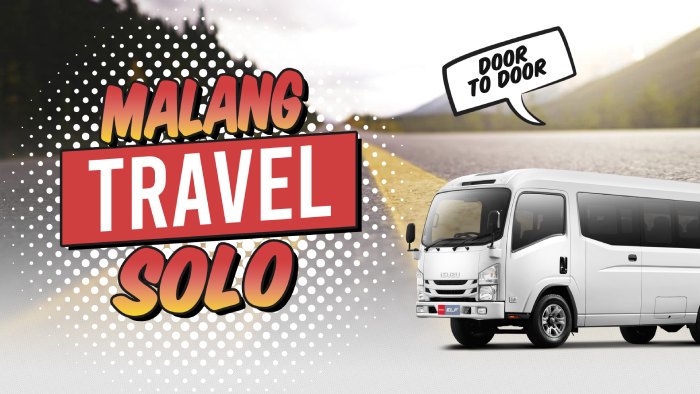 Travel pemalang solo