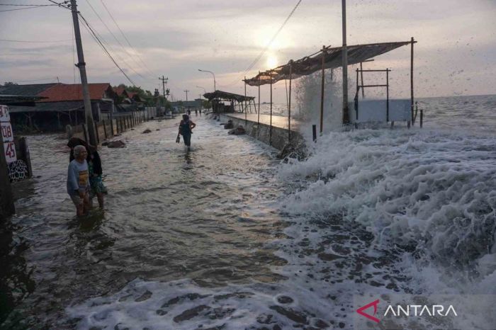 Flood solo java