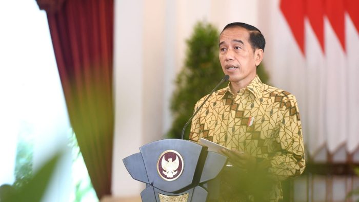 Pendapat ahli tentang sistem presiden seumur hidup di Indonesia