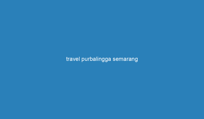 Agen travel purbalingga solo